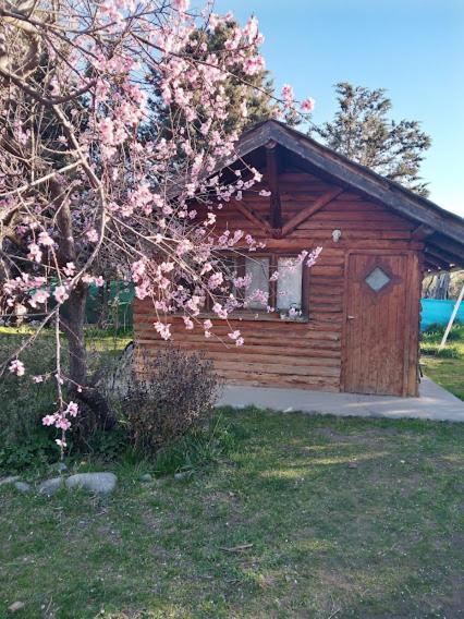 El Pueblito Ecohostel เอลโบลซอน ภายนอก รูปภาพ